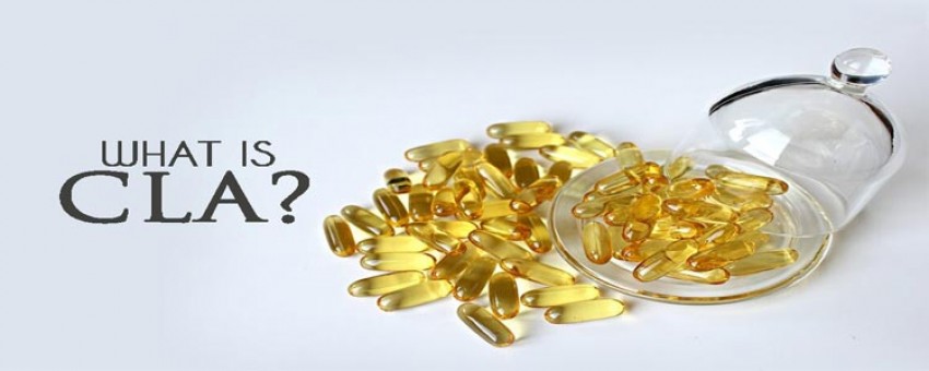 سی ال ای چیست؟ آنچه باید در مورد CLA  بدانید!