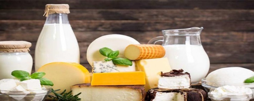 هر آنچه درباره لبنیات باید بدانید