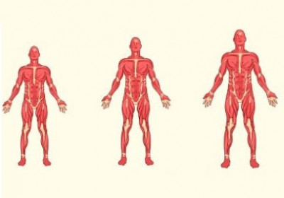 بدنسازی چه تاثیری بر روی قد دارد؟