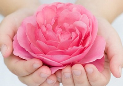 اثرات درمانی انواع گل بر بدن انسان