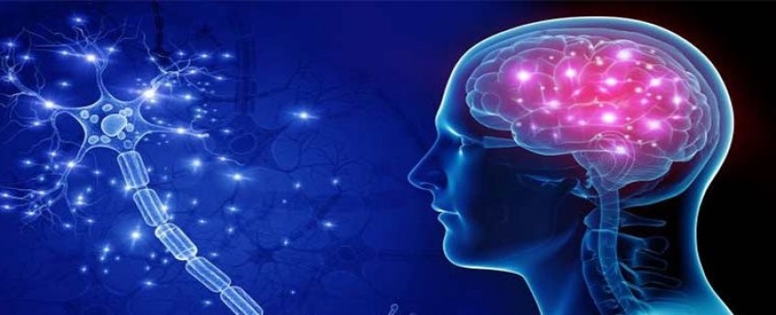ویتامین D‌ بخورید تا در معرض خطر MS قرار نگیرید