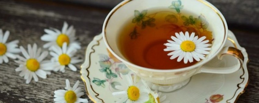 رهایی از بی‌خوابی با دمنوش بابونه
