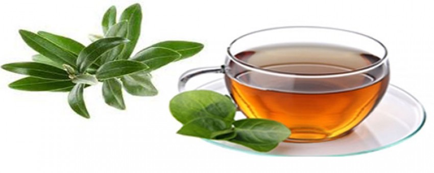 کاهش وزن با این چای ها