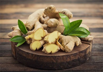 خواص دارویی و درمانی زنجبیل