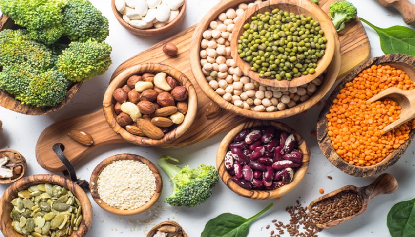 گیاه خواران چگونه منابع پروتئین را دریافت می کنند ؟